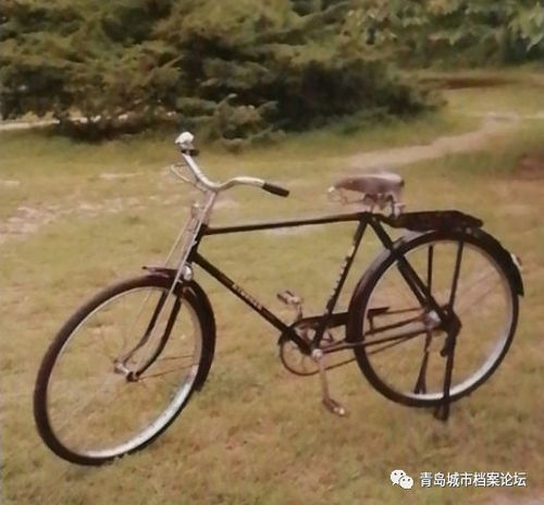 青岛自行车厂回顾 承载城市记忆的“大金鹿”与它的零配世界