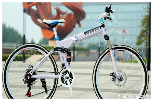 自行车王国背后的隐忧 国产销量第一，核心零件命脉却在何方？